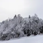 شقة Schwuewong - 11
